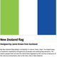 Illustration for article titled 9 Designs That Could Finally Replace New Zealands Controversial Flag